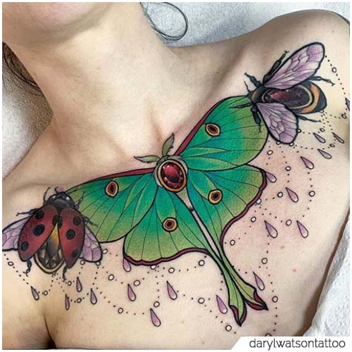 Tattoo Moth Sterno