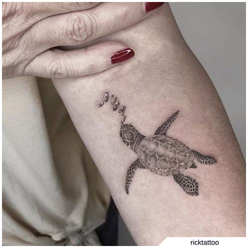 tatuaje de tortuga de antebrazo